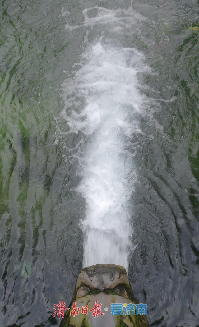 黑虎泉水位今年首次突破29米，较去年提前14天