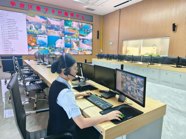 华容区1数字项目在2025中国国际大数据产业博览会获奖