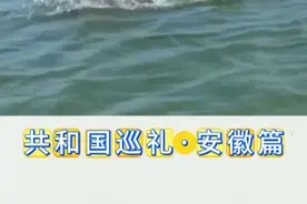 见过江豚“吐口水”吗？快来一探究竟→图片