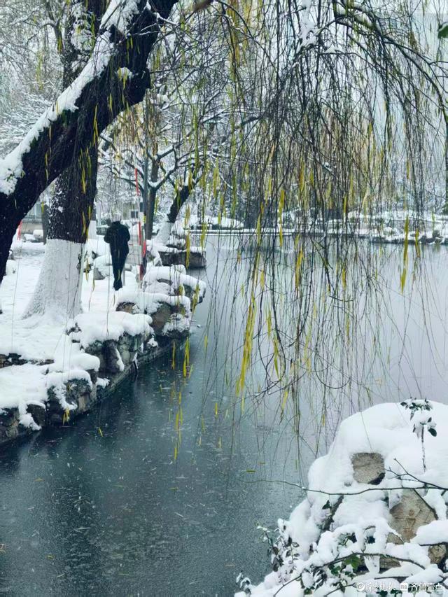 雪中泉城公园美不胜收