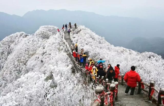 多地下雪！广西限定版“冰雪世界”已上线