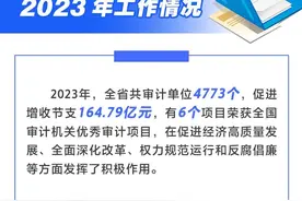 直通发布厅｜今年山东审计工作怎么干？6个方面划重点图片