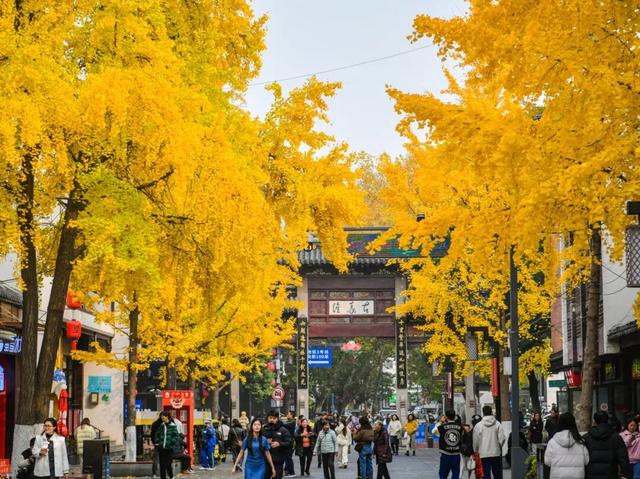 南京开始“下雪”了！