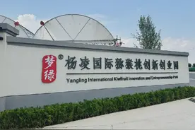 “千万工程”在杨凌 | “头雁”领航奔富路图片