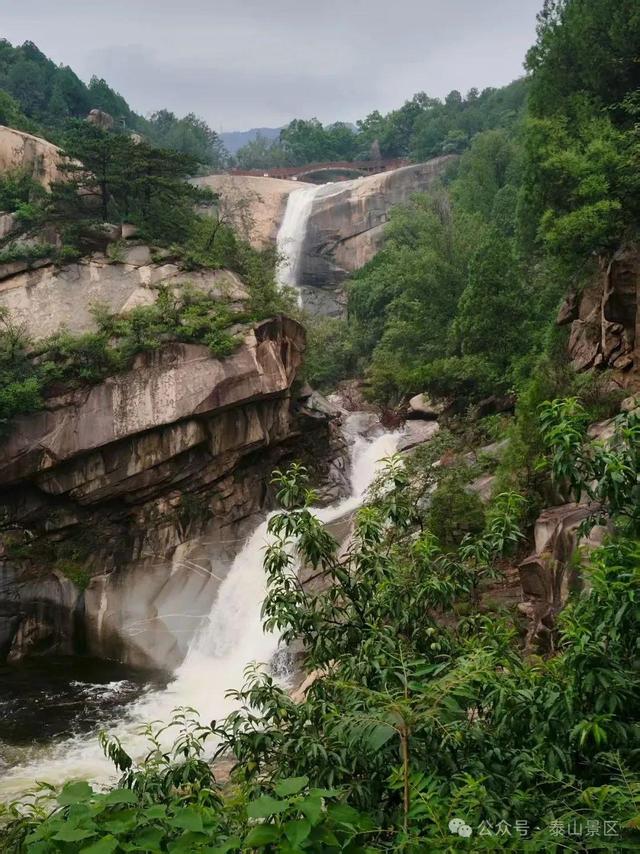 泰山雨霁：云雾织仙境，霞光染群峰，这泼墨山水里藏着夏日最治愈的奔赴