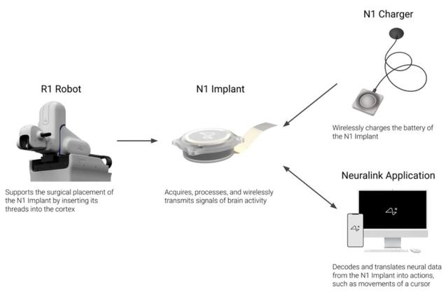 马斯克脑机接口意念控制机械臂，演示者获得钢铁之吻，理论上可控制一切