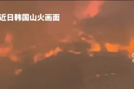 已造成24人死亡，千年古刹被完全烧毁！韩国发布最高级别警报图片