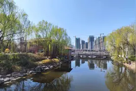 以花为媒 幸福一城！中国牡丹之都借力盛会蝶变图片