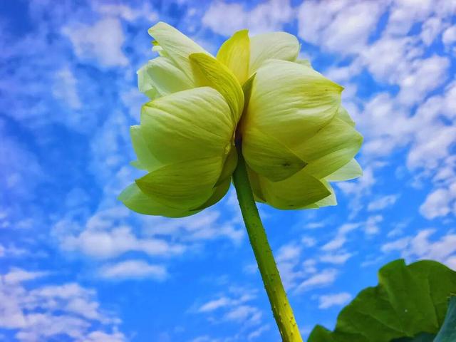 云游美丽中国 · 普者黑特辑