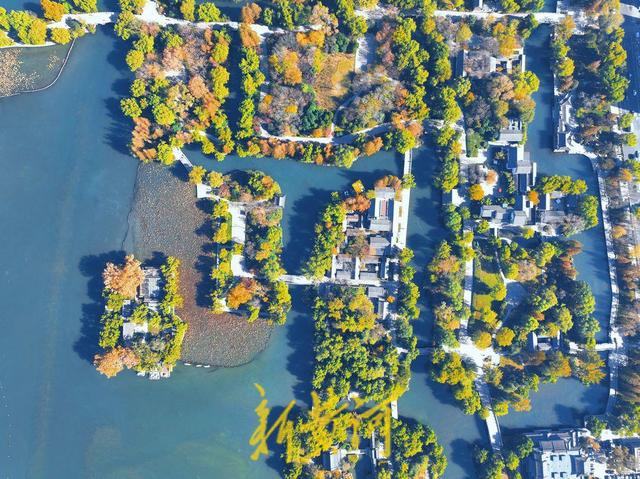 大明湖进入冬日多彩斑斓季，绘就泉城绝美画卷