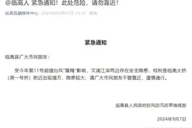 紧急通知：临高大桥(原一号桥)附近出现塌方图片