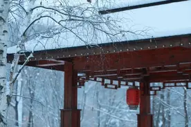 春雪映城，诗画敦化：邂逅一场不期而遇的白色浪漫图片