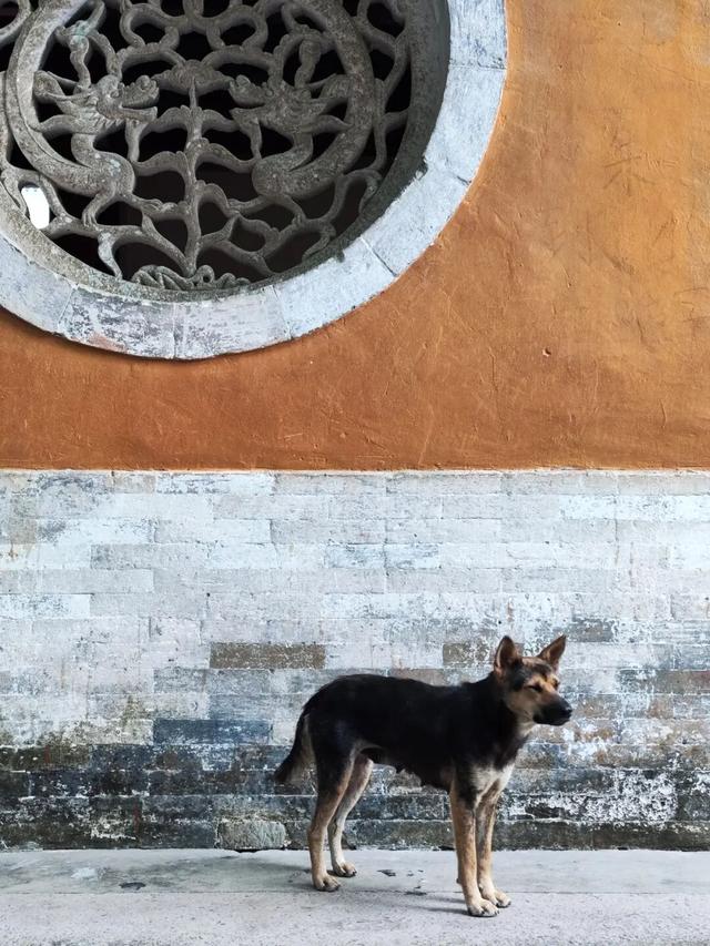 游天台山日记 + 椒江西山小行记