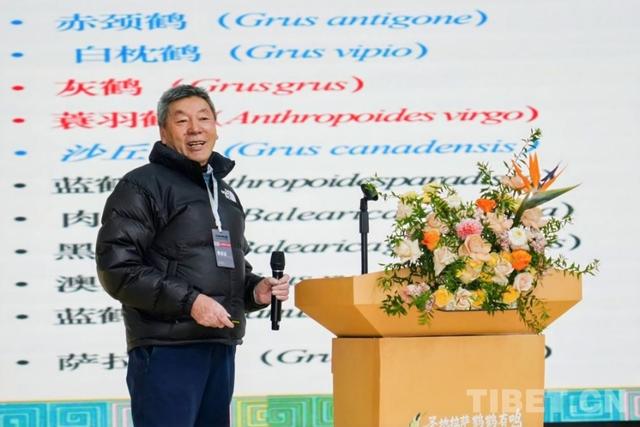 “圣地拉萨·鹤鹤有鸣”：以黑颈鹤为媒，绘就拉萨冬季文旅新画卷