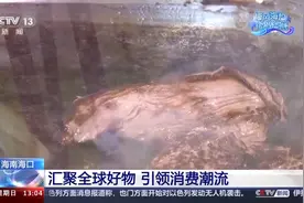 消博会上有哪些新品好货？记者带你逛→图片