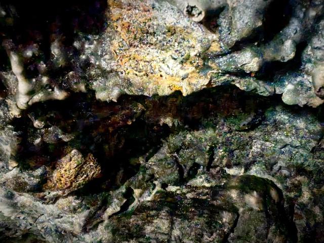 美好生活在云南｜这里，是《徐霞客游记》认证的“仙山圣境”