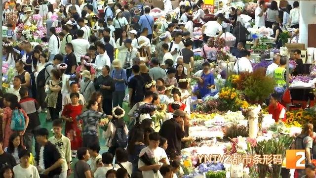 爆爆爆！昆明太火爆了，景点全是人，这里7月就涌入了162.96万人……