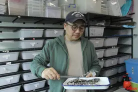 “新王”加冕！中国学者最新研究：它就是亚洲陆生毒蛇第一毒图片