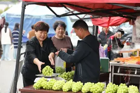 鲁山县：党建引领产业发展 绘就乡村振兴新蓝图图片