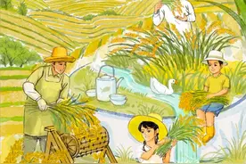 秋分｜风吹稻香，“丰”景正好！图片