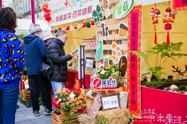 崇明文旅推介嘉年华亮相浦东前滩：可在崇明认领“一垄地”享自种自收体验