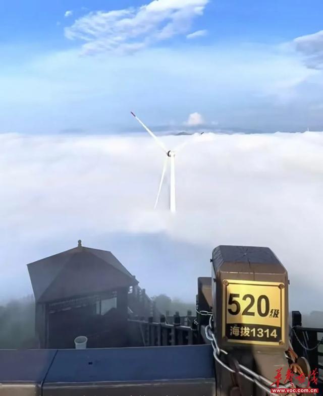 湖南多地推出七夕主题活动 解锁甜蜜过节新方式