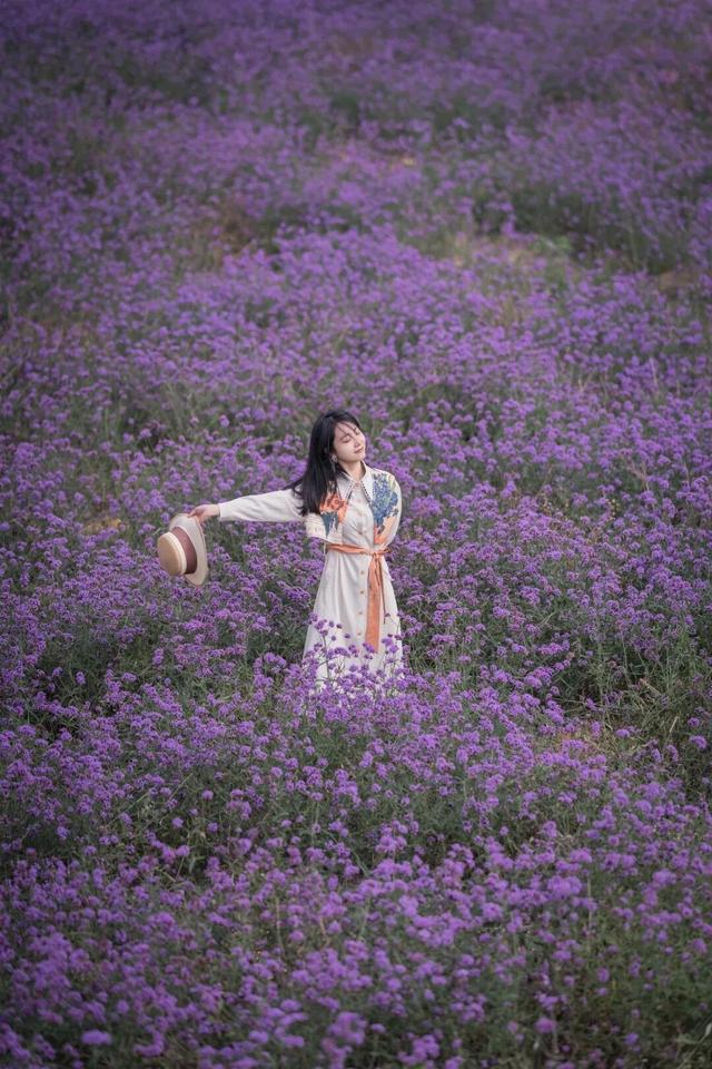 原来冬日里的江西，也会“花开成海”！