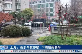 上海：雨水今夜停歇 下周晴雨参半视频封面