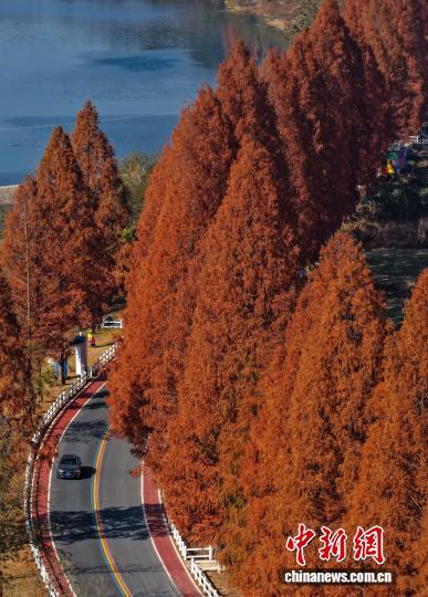 安徽休宁：冬韵铺展“艺术公路” 人车穿行入画来