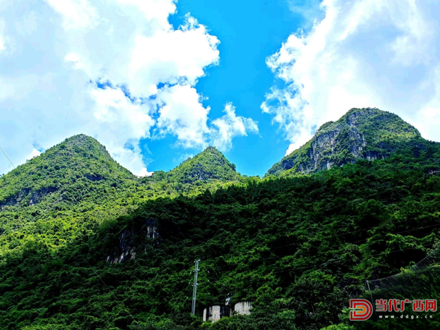 凌霄山的呼唤