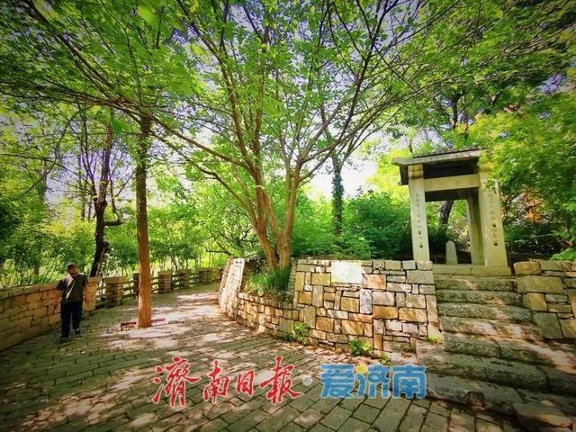一年四季 泉在济南丨腊山河畔满目翠绿 宛如“绿野仙踪”