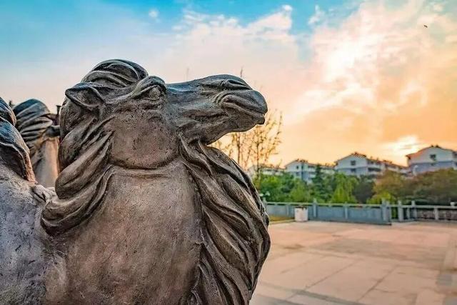 来洛阳，感受一秒穿越隋唐盛世！