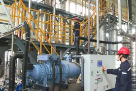 芦苇变身可降解塑料！首条年产千吨生产线在石首投产！图片