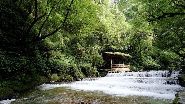 在飞瀑、幽峡与林海间遇见哀牢山生态旅居之美