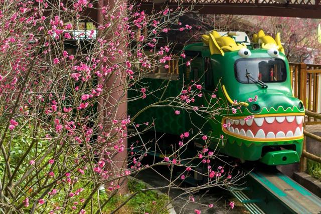 张家界十里画廊“踏雪寻梅”即将上线，“春日童话”加倍浪漫