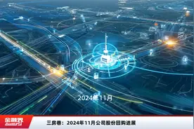 三房巷：2024年11月公司股份回购进展视频封面