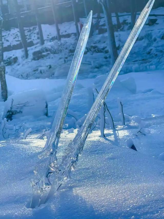 免费申领！白云山冰雪仙境邀您花式玩儿雪！