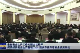 全省安全生产工作专题会议召开 抓紧抓实安全生产各项工作 坚决守住守牢安全发展底线 林武讲话 周乃翔主持图片