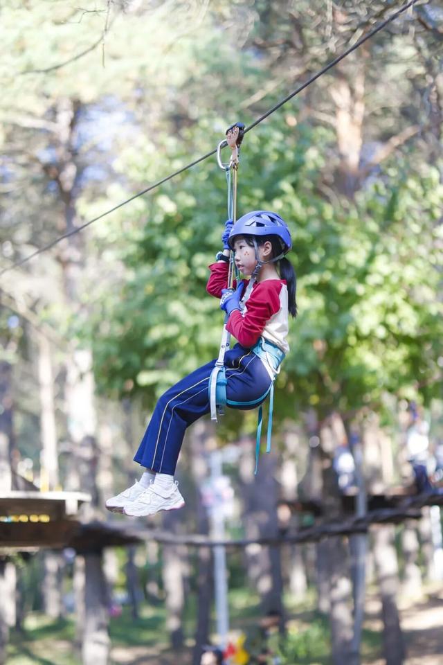 通知：森林探险乐园闭园倒计时3天！燃情初冬探险+“森”呼吸 定格成长…