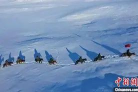 中蒙边境守护者：偶遇狼和熊“不足为奇”图片