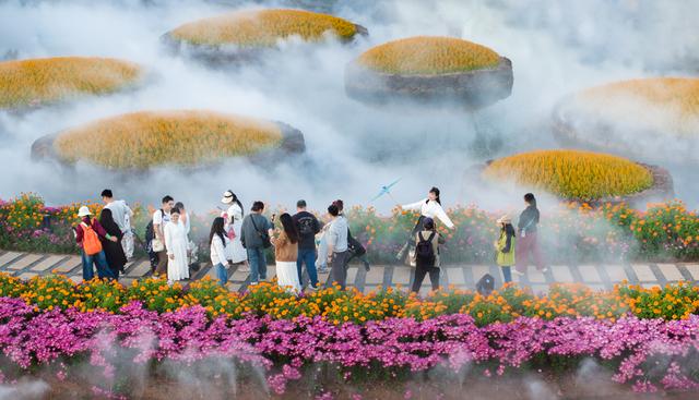 广西南宁：水雾弥漫绚烂花海 市民乐享冬日浪漫