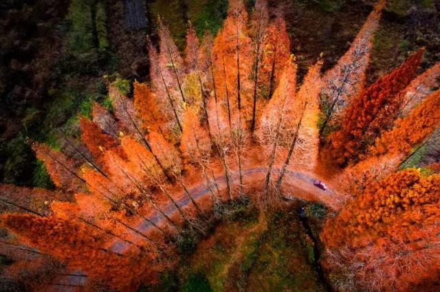 航旅融合 | 抽免费机票，到三明20℃的暖冬里，邂逅令人怦然心动的秘境