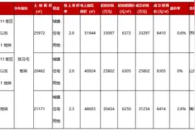 济南土拍速递 | 济南建工、山东海通、瑞马分别竞得新东站片区三宗住宅用地图片