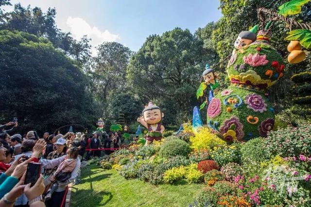 从8点堵到现在！杭州顶流回归