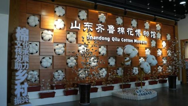 沿着黄河遇见海丨山东夏津：桑田“生金”棉海织梦 黄河故道的农旅融合新路径