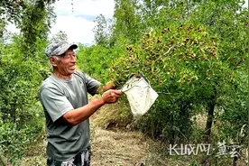 同比增长5.6%！上半年河北省居民人均可支配收入16899元图片