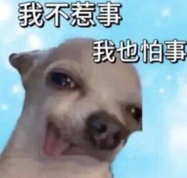 什么？狂犬病的头号元凶不是狗？最要警惕的动物竟然是它→