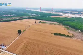 190种小麦做对比！银河试验农场科研人员手动收麦 探寻小麦“金种子”图片
