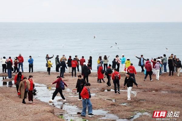 岁暖时刻丨抚仙湖边：海鸥和游客的“湖岸小派对”