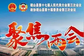 聚焦两会丨砚山县第十七届人民代表大会第三次会议开幕图片